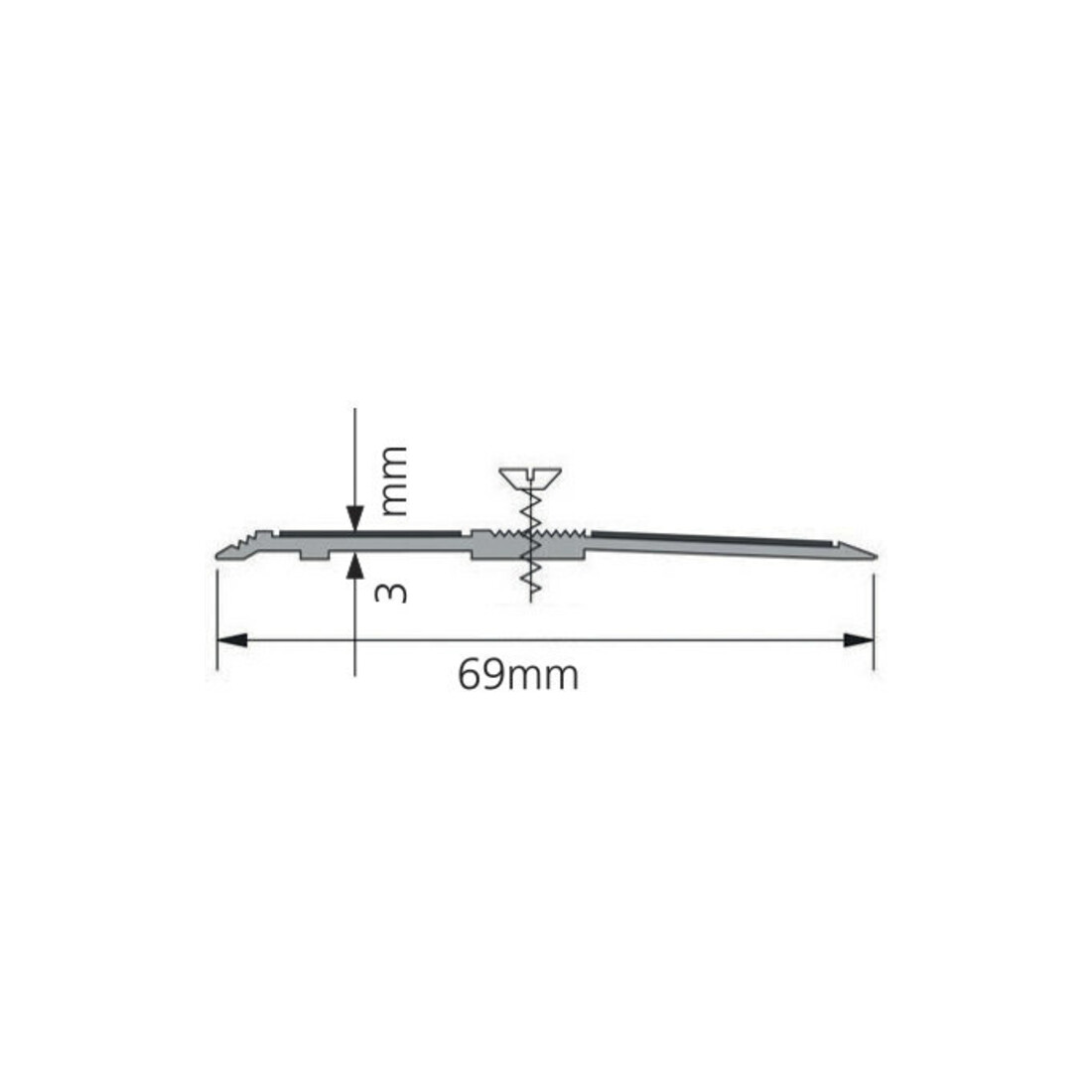 ELLEN Profil de seuil SP69 à visser alu gris, L 69 x P 1000 mm