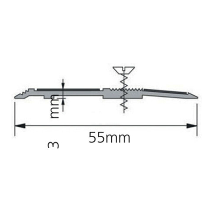 ELLEN Schwellenprofil SP55 z. schrauben Alu grau, Br 55 x L 1000mm