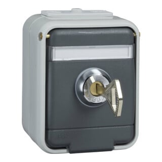 Elso AP-Steckdose licht-/basaltgrau 455029