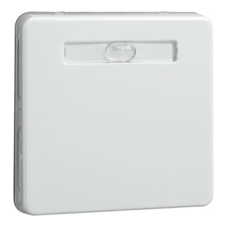 Elso Bascule rw pour bouton/poussoir 233614