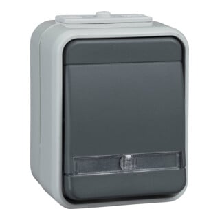 Elso Bouton-poussoir 1 contact NO AP, clair, gris clair/gris foncé ELG442119