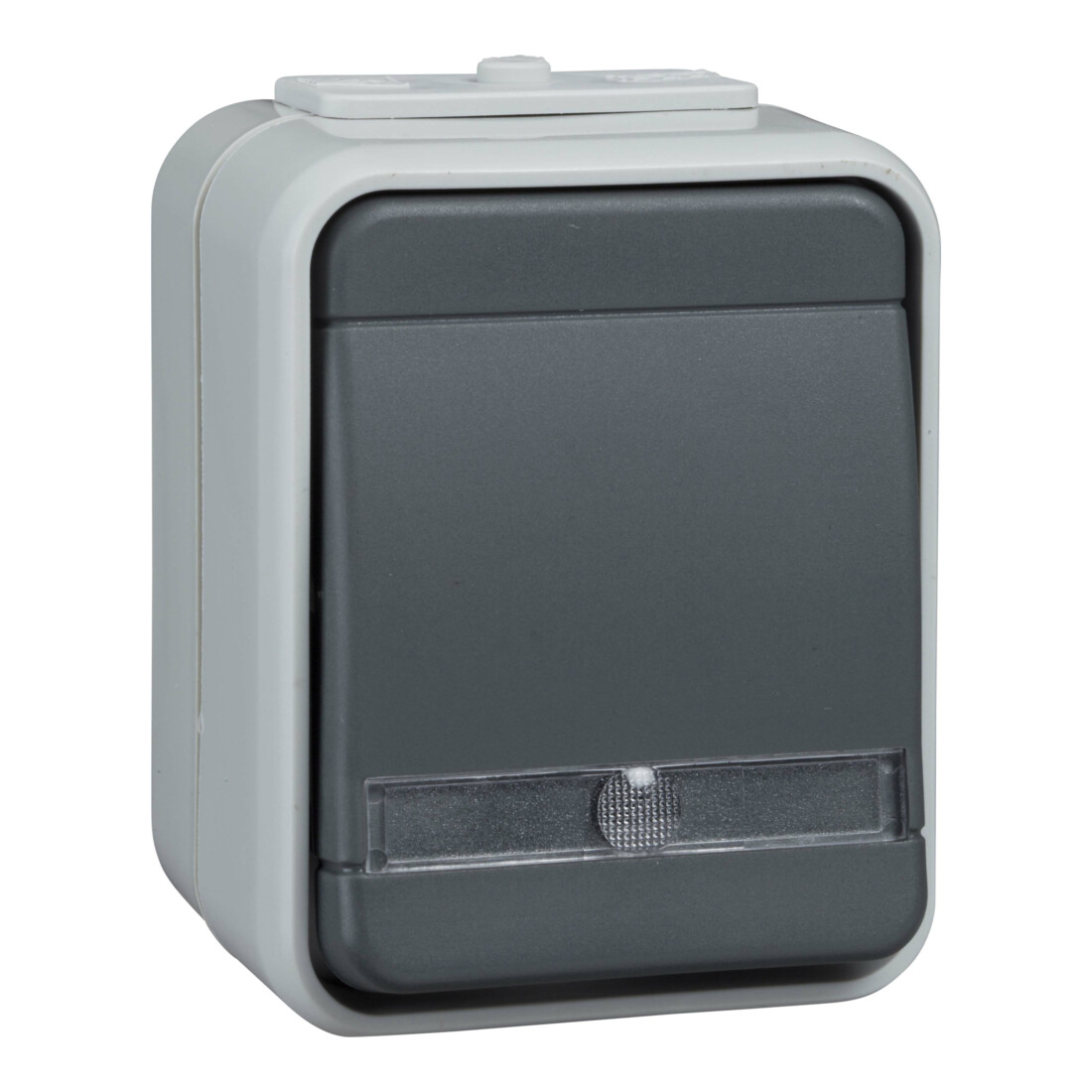 Elso Bouton-poussoir 1 contact NO AP, clair, gris clair/gris foncé ELG442119