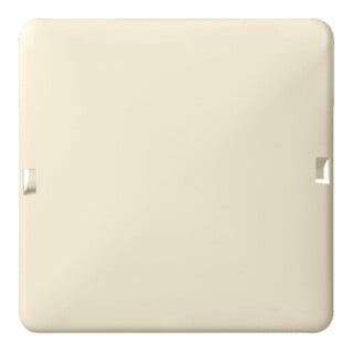 Elso Cache aveugle pw 1 poste verrouillable 503010