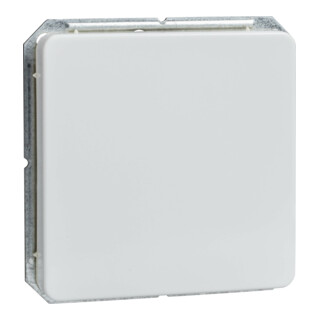 Elso Cache aveugle rw clipsable 203014