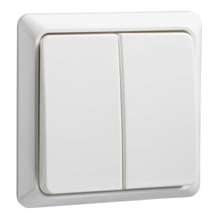 Elso Interrupteur série rw 501504