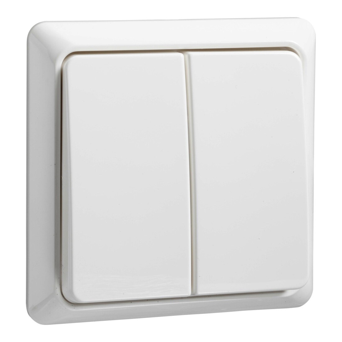 Elso Interrupteur série rw 501504