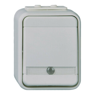 Elso Interrupteur universel AP, gris clair/gris foncé ELG441619