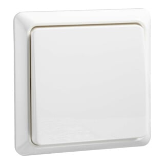 Elso Interrupteur universel rw 501604