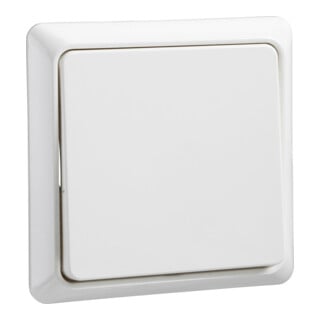 Elso Interrupteur universel rw UP20 241604