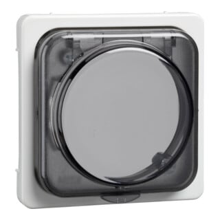 Elso Plaque centrale rw 207214