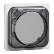 Elso Plaque centrale rw 207214-1