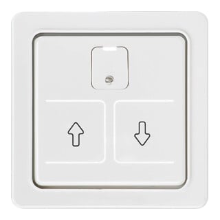 Elso Plaque centrale rw pour commande de volet roulant 207064
