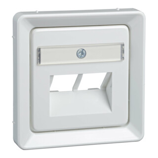 Elso Plaque centrale rw UAE 2xRJ45, Rutenbeck 206534