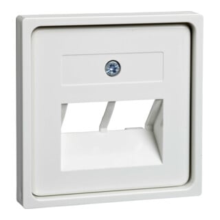 Elso Plaque centrale rws p.p UAE 2xRJ45 366414