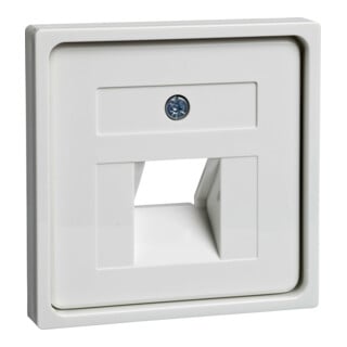 Elso Plaque centrale rws p.UAE 1xRJ45 366404