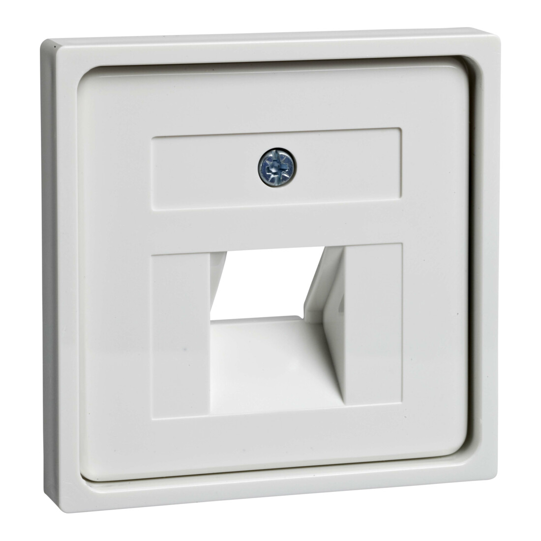 Elso Plaque centrale rws p.UAE 1xRJ45 366404
