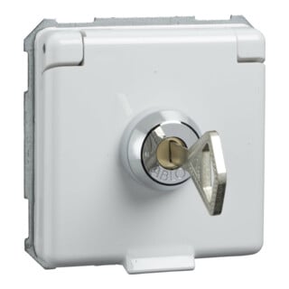 Elso Prise rw verrouillable 225064