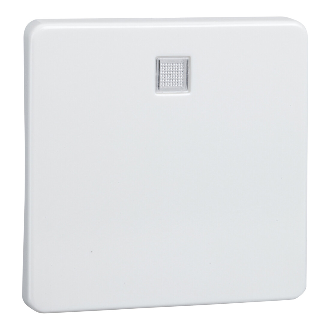 Elso Wippe rw f.bel.Tast./Schalter 213614