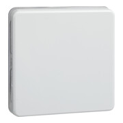 Elso Wippe rw f.Taster/Schalter 233604-3
