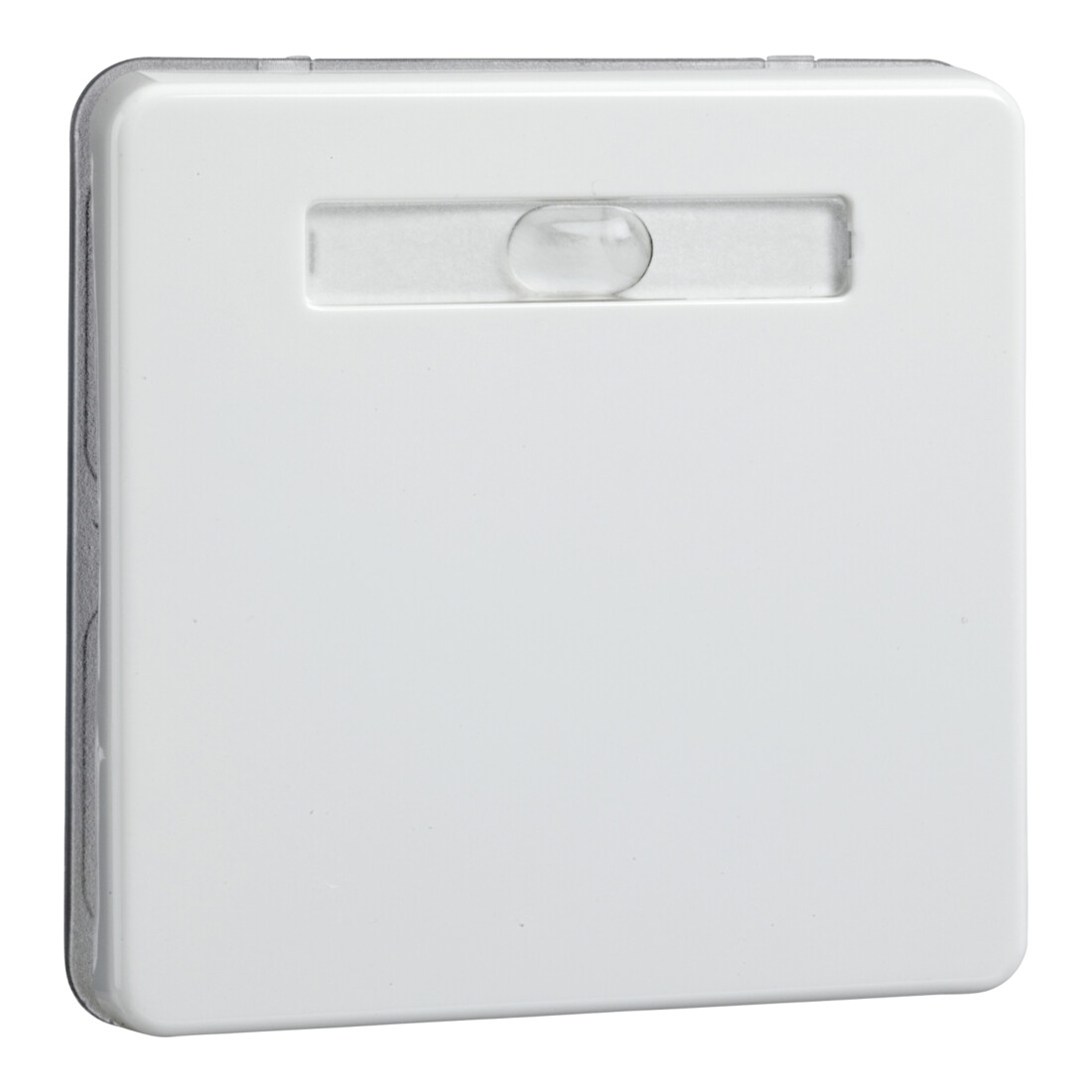 Elso Wippe rw f.Taster/Schalter 233614