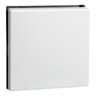 Elso Wippe rws f.Uni.Schalt./Tast. 273604