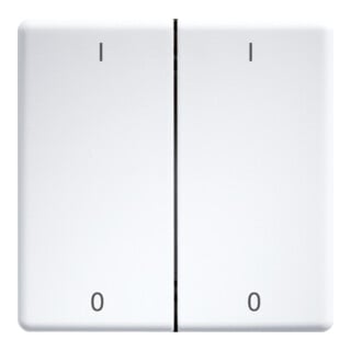 Eltako Double bascule gravée au laser pour 55x55 mm rws/brillant DW-FT55-wg+IO