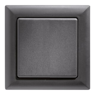 Eltako Funktaster anthrazit FT55-an