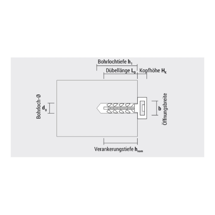 CELO Cheville InsertFIX IFS petite tête, gris 6 mm 31 mm