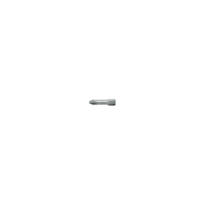 Embout de vissage PZ2 (10 ) CELO