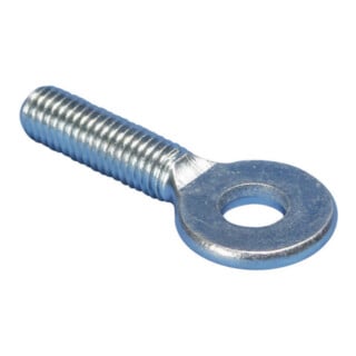 Erico Vis à œil P1 with thread M6x20mm SLEBM6