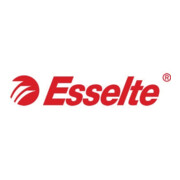 Esselte Präsentationsringbuch 49708 DIN A4 25mm 2Ringe PP weiß-3