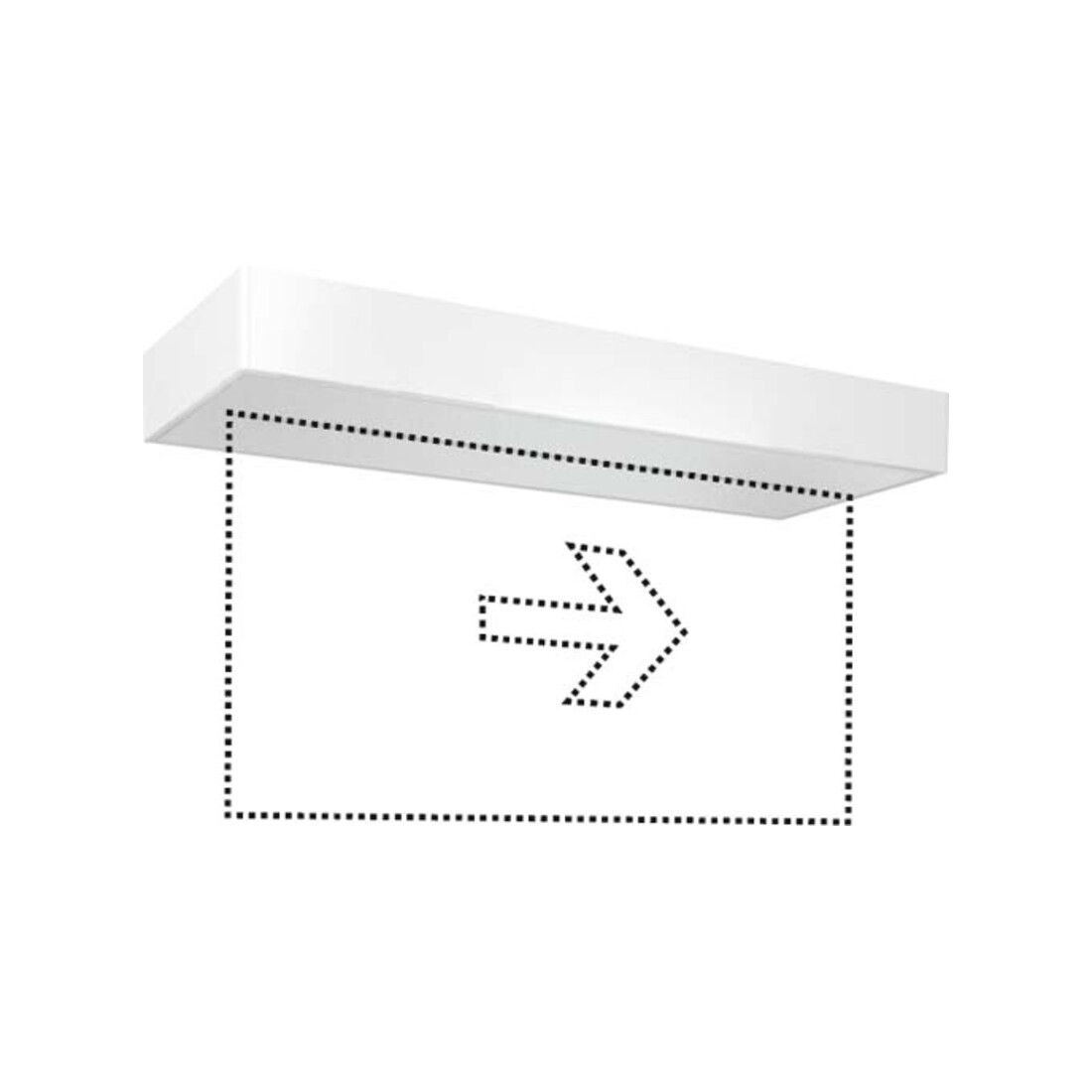 ESYLUX LED lampe de secours ws 3h, pour montage en applique/plafond SLXELLED#EN10077371