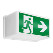 ESYLUX Lumière de secours 21m EKW 2,5W SLB EL LED 3h 21mSM-2