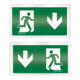 ESYLUX Pikto.-Scheibe zweis.unten f.Notleuchten SLC SYMBOL2-SIDEDOWN-1
