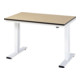 Établi adlatus RAU 300 réglable en hauteur électriquement Plan de travail MDF 1250 mm x 800 mm-1