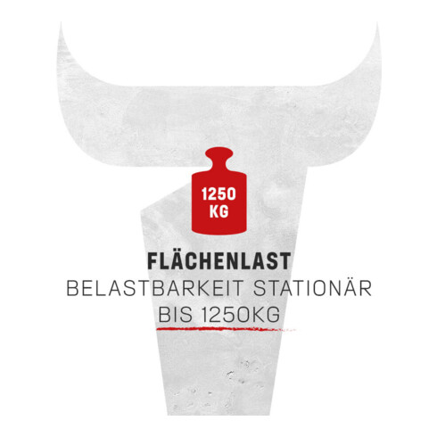 Etabli Rau avec châssis abaissable 8001 880 mm Plaque en hêtre massif 700 mm