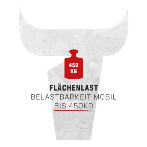 Etabli Rau avec châssis abaissable 8001 880 mm Plaque en hêtre massif 700 mm