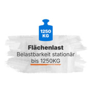 Etabli Rau avec châssis abaissable 8183 880 mm Plaque en hêtre massif 700 mm-4