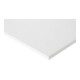 Rau Table de travail modèle 900 avec plateau mélaminé H×I 825×800 mm-4