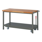 STIER Workbench Premium avec châssis abs.