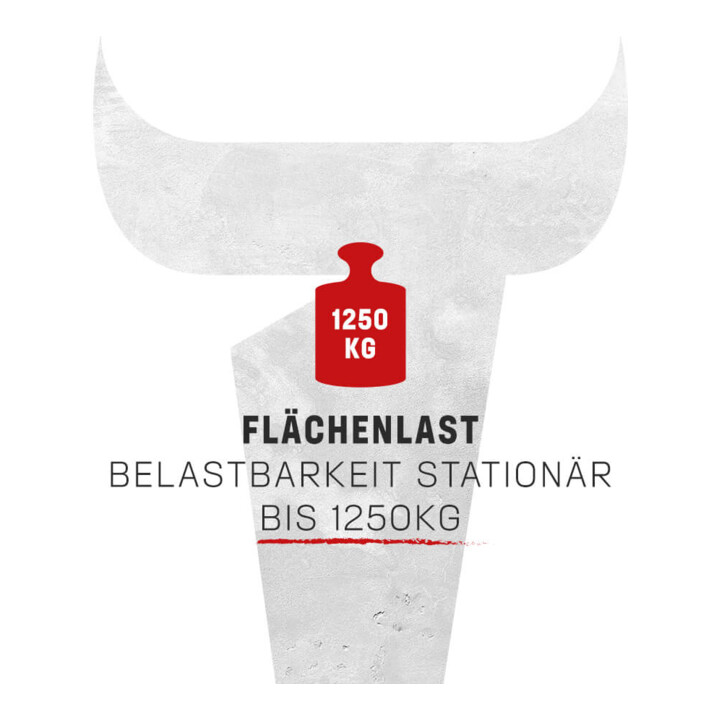 Etabli STIER Premium avec châssis roulant abaissable, lxPxH 750x700x880 mm
