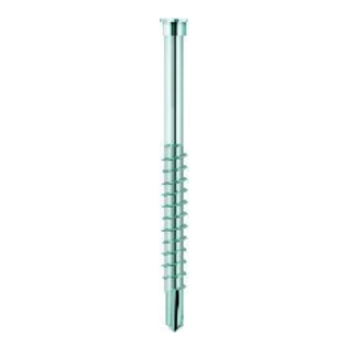 Eurotec Profilbohrschrauben Edelstahl geh. 5,5x46mm