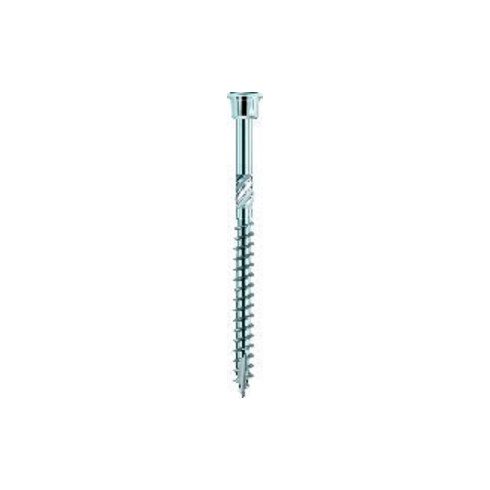 Eurotec Schraube Terrassotec geh. DIN10088 4 x 40mm T15