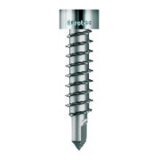 Eurotec Thermofixschr. m. Bohrsp. Edelstahl geh. 4,2x22mm