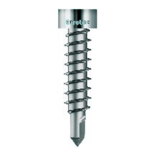 Eurotec Vis thermofix avec pointe de forage Acier inoxydable 4,2x22mm