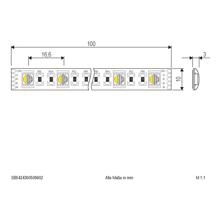 EVN Bande LED 24V 5m RGBW