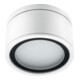 EVN Decken-/Wandleuchte 230V GX53 11W IP54 ws