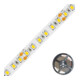 EVN Lichttechnik LED-Strip 24V 5m 3000K STR20241202802