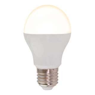 EVN Lichttechnik Leuchtmittel E27 265V IP20 RC2357069902 RGB+W