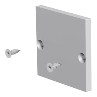 EVN Lichttechnik Plaque de finition en aluminium avec 2 vis APRUEAP